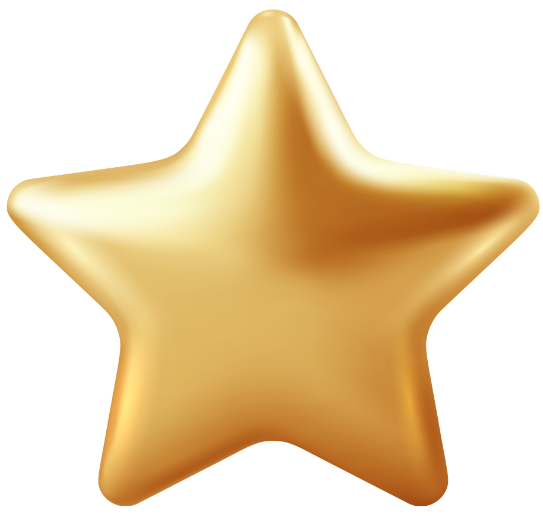 Rigour Icon